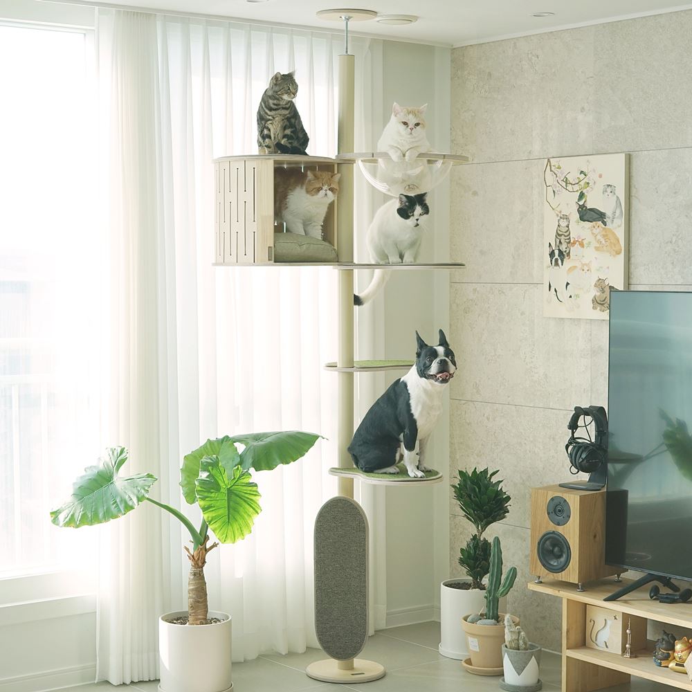 ついにオープン！ | GATOBLANCO（ガトーブランコ）日本公式サイトへ