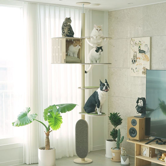 猫の遊び場 キャットタワー