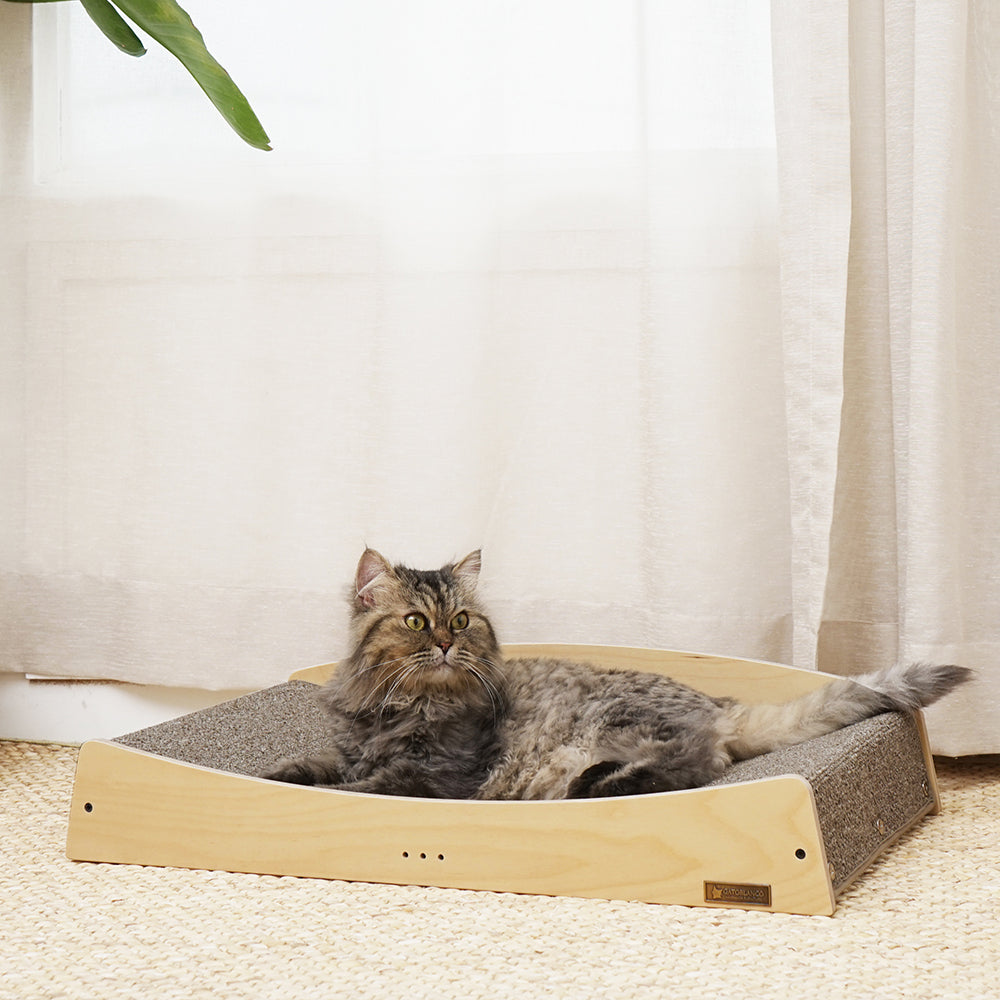 GATOBLANCO